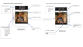 Thumbnail for version as of 23:22, 22 February 2020